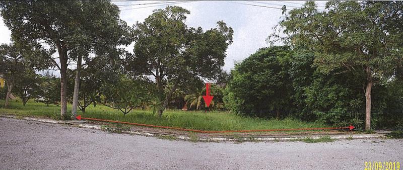หนองขนาน เมืองเพชรบุรี เพชรบุรี